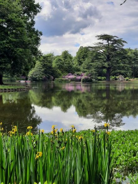 An Ill-fated Romance and a Forgotten Royal: Princess Charlotte Augusta ...