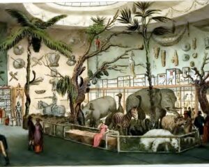 Interior, Bullock's Museum, Picadilly, June 1810