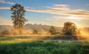 Peaceful sunrise over misty fields in Maple Ridge, showcasing natural beauty and tranquility.